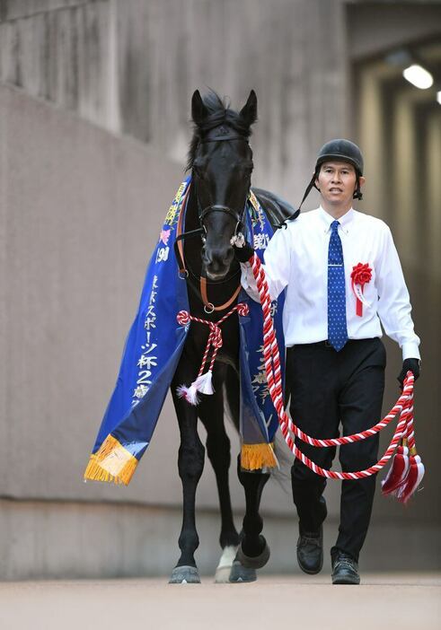 東京スポーツ杯2歳ステークスを制したクロワデュノール