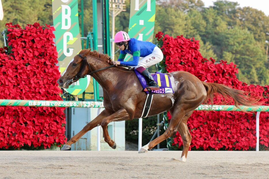 JBCレディスクラシック・アンモシエラと横山武史騎手 (C)佐賀県競馬組合