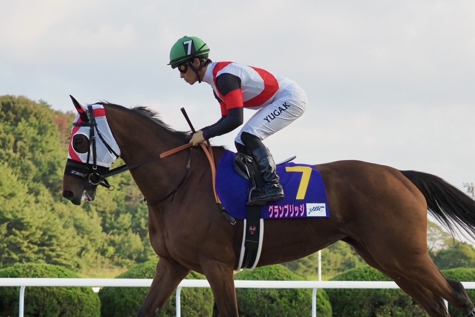 JBCレディスクラシック・グランブリッジと川田将雅騎手 (C)Y.Shigeyama