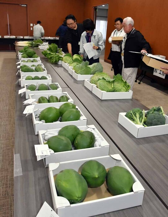 野菜や果物など秦野市産の農産物を審査する品評会＝１５日、同市平沢