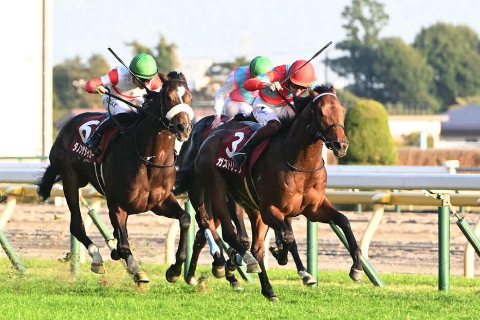 東スポ杯２歳Ｓを制覇しデビュー２連勝を飾ったガストリック