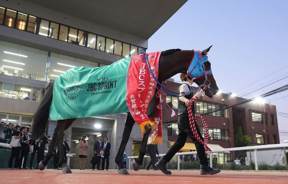 JBCスプリントを優勝したタガノビューティー＝佐賀競馬場（撮影・岩川晋也）