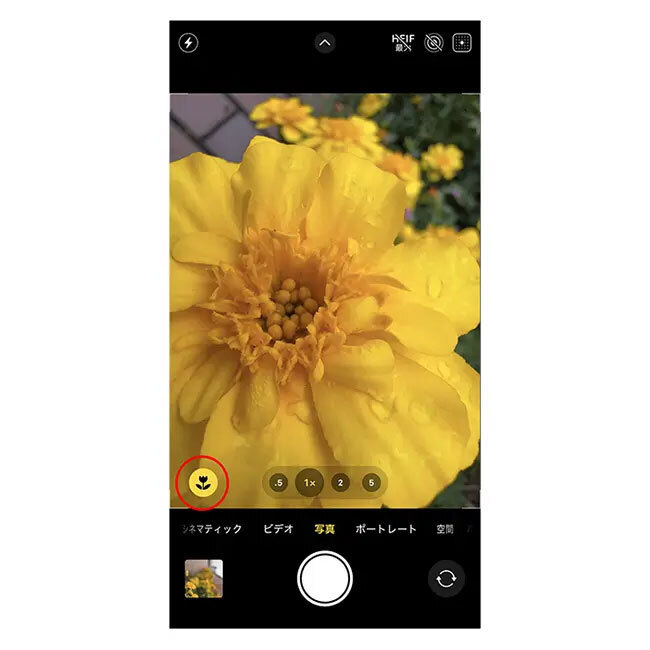 マクロ撮影ができる距離まで被写体に近づくと、画面左下に花のアイコンが表示され、自動的にマクロモードに移行します。