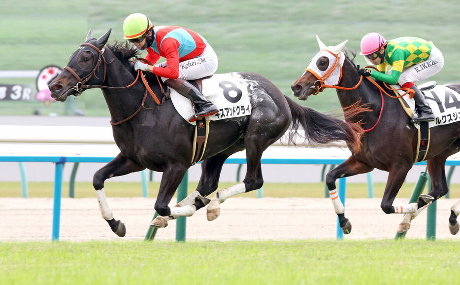 京都３Ｒ は松山弘平騎手騎乗のキスアンドクライ（左）がルクスジニアをゴール前で競り落とした　（カメラ・高橋　由二）