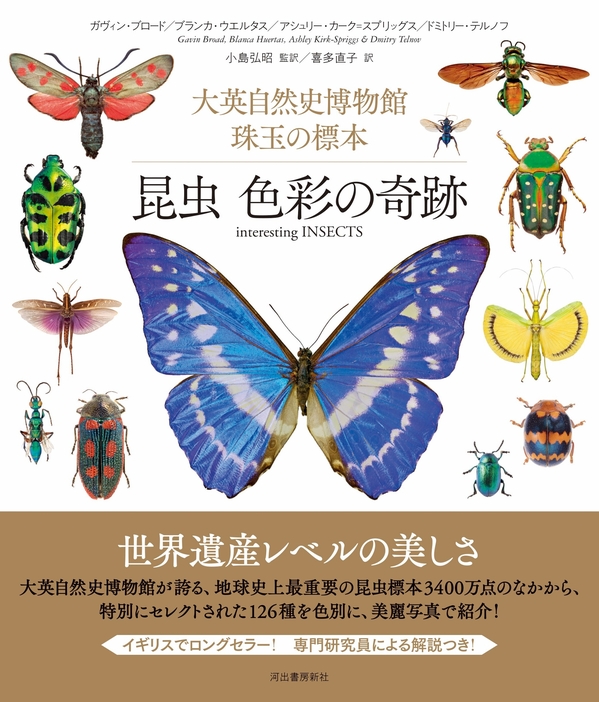 『大英自然史博物館 珠玉の標本　昆虫 色彩の奇跡』（河出書房新社）