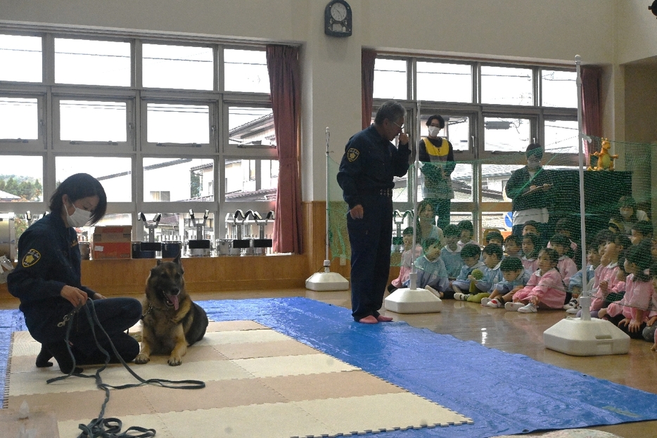 警察犬による実演の様子を見学する園児