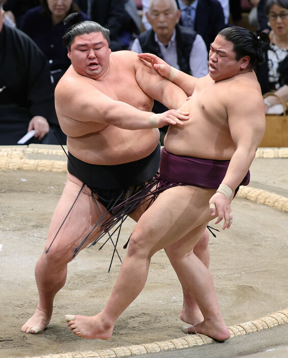 大相撲九州場所４日目。正代（左）は押し出しで平戸海を下す＝１３日、福岡国際センター