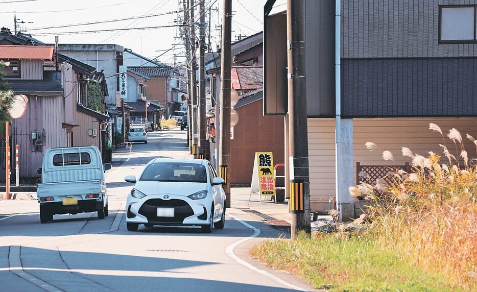 クマが潜んでいたとみられるやぶの一部（右）。奥に住宅地が広がる＝朝日町横尾