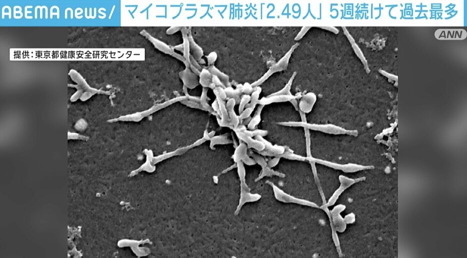 東京都健康安全研究センターより