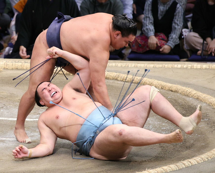 豊昇龍（上）は上手投げで欧勝馬を下す＝１７日、福岡国際センター