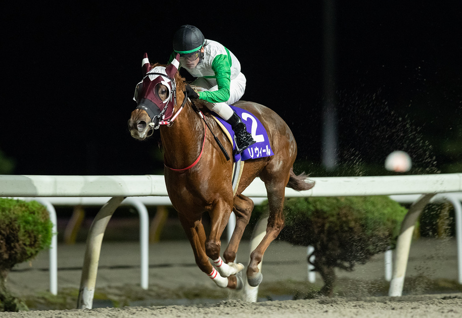 南部駒賞・バリウィールと石川倭騎手 (C)岩手県競馬組合