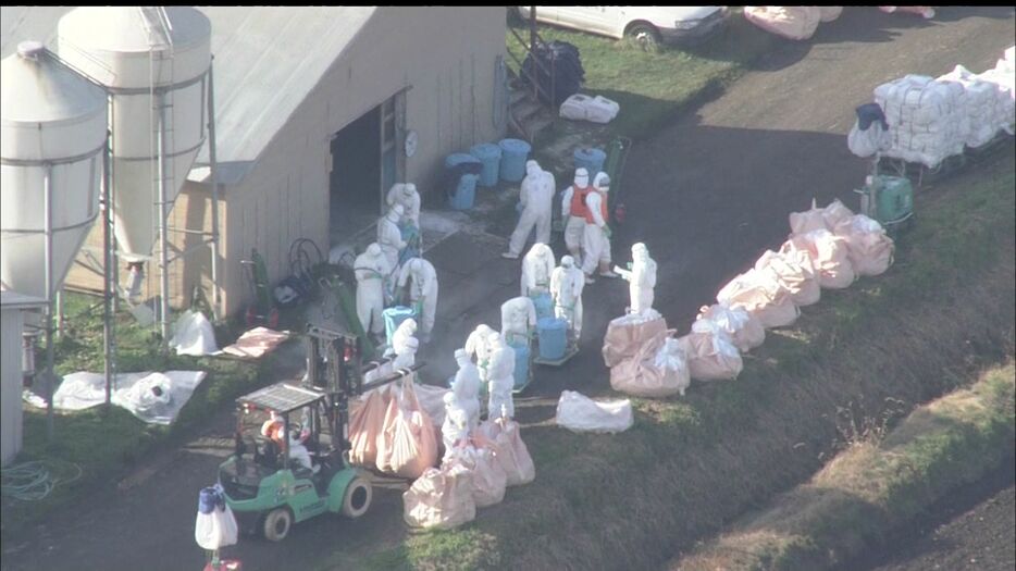 殺処分が行われている旭川市の養鶏場