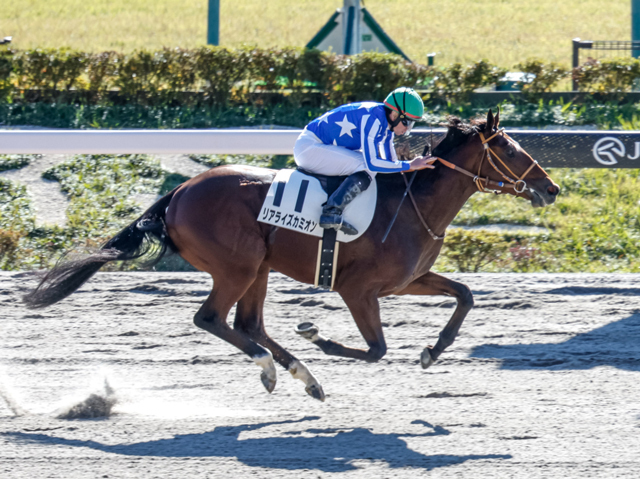 東京5R新馬戦を制したリアライズカミオン(撮影：下野雄規)