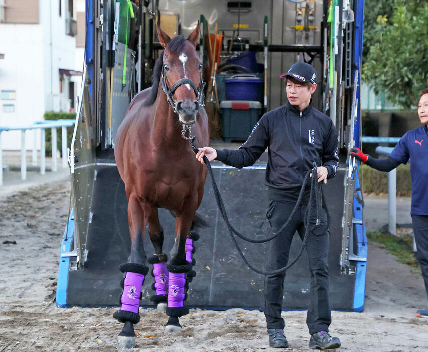 東京競馬場に到着したドウデュース（撮影・鈴木正人）