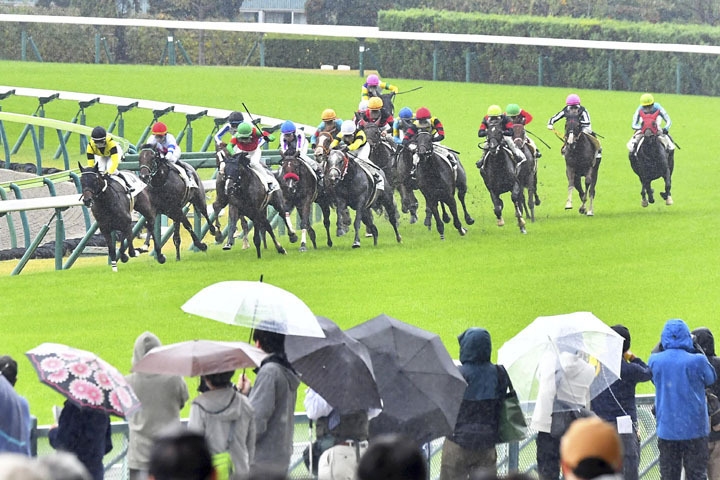 開幕初日から迫力あるレースが繰り広げられた「秋の福島競馬」＝2日午前、JRA福島競馬場