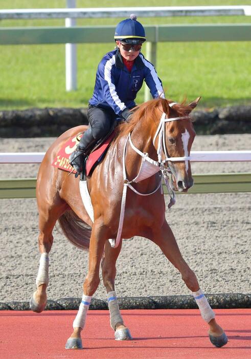 　Ｇ１初制覇を目指す田口とゴールドエクリプス（撮影・石湯恒介）