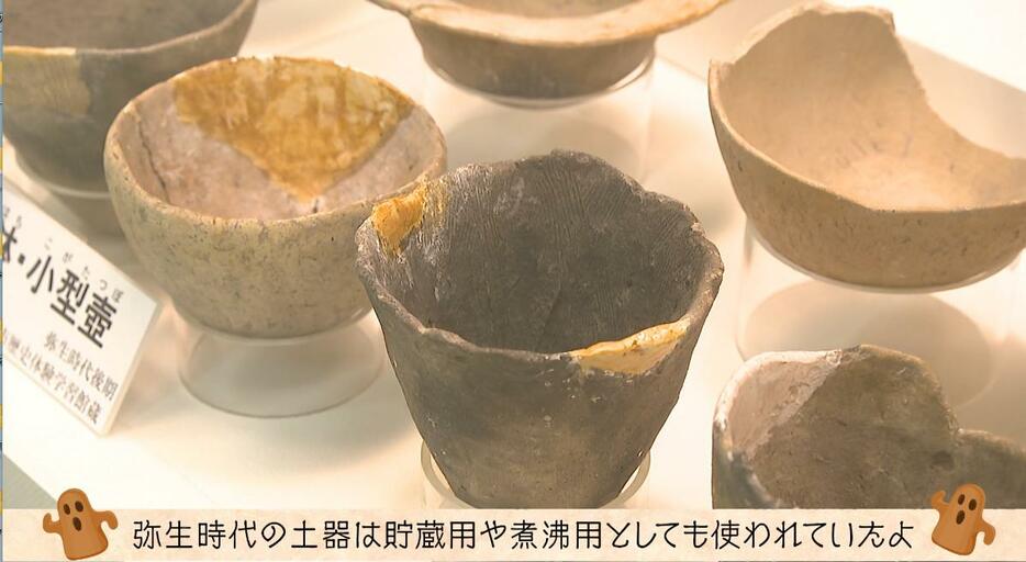 展示されている土器の数は161個（イマムー調べ）