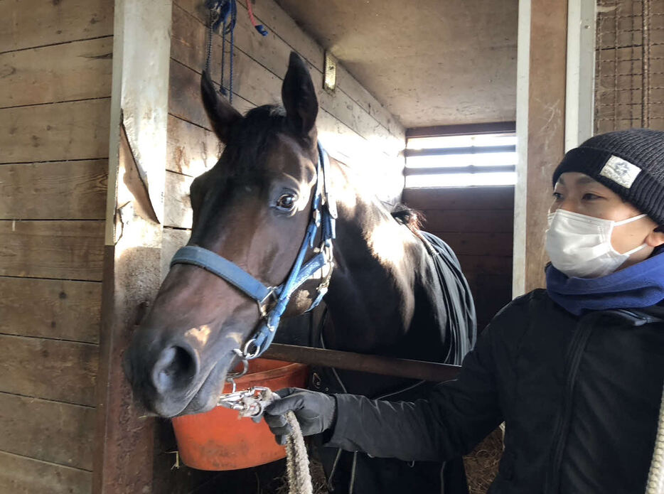 門別競馬場の角川厩舎でリラックスした表情を見せる最強馬ベルピット（撮影・奥村晶治）