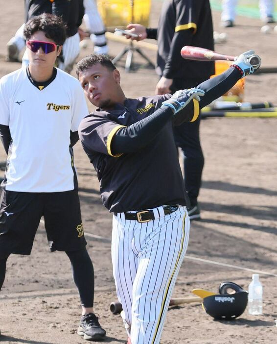 ロングティーを行うジーン・アルナエス＝安芸市営球場（撮影・中島信生）