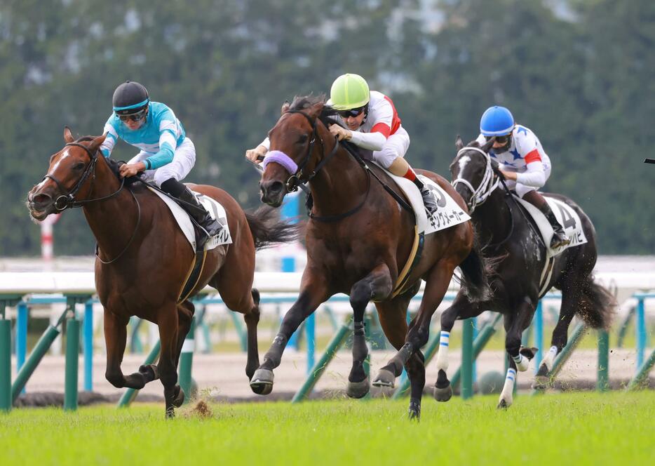 　新馬戦を快勝したキングメーカー（中央）＝撮影・石湯恒介