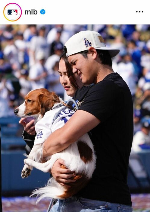 ＭＬＢの公式インスタグラム（＠ｍｌｂ）より