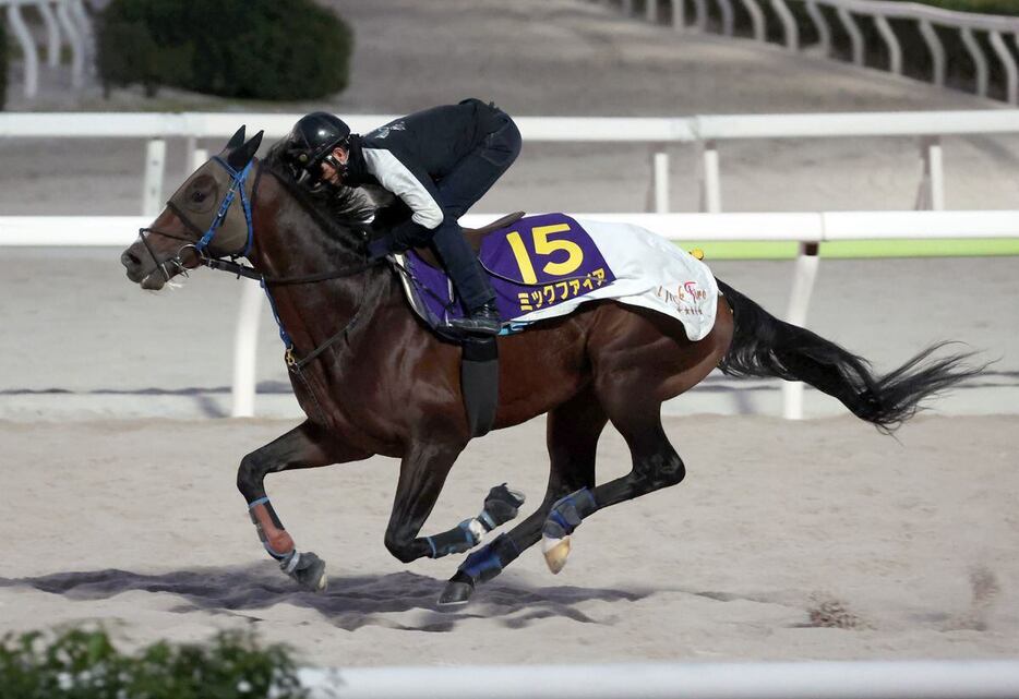 ミックファイアは馬なりでもパワフルな走りを披露した＝大井競馬場、撮影・塩浦孝明