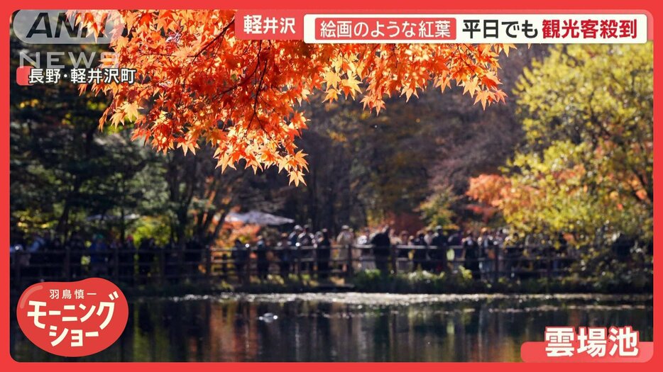 軽井沢の絶景“絵画のような紅葉”　観光客で大混雑…地元住民「家まで10分が1時間」