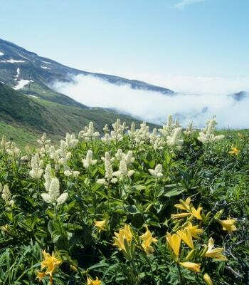 静寂と荘厳さを兼ね備えた独立峰の鳥海山 photo by gettyimages