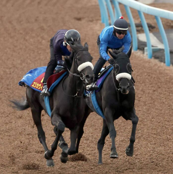 エリカヴィータ（左）＝美浦トレセン（撮影・塩浦孝明）