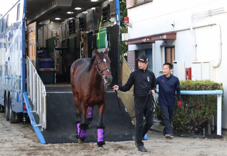 ドウデュースは前川和也調教助手に手綱を引かれて決戦の地に到着＝23日、東京競馬場、撮影・吉田桜至郎