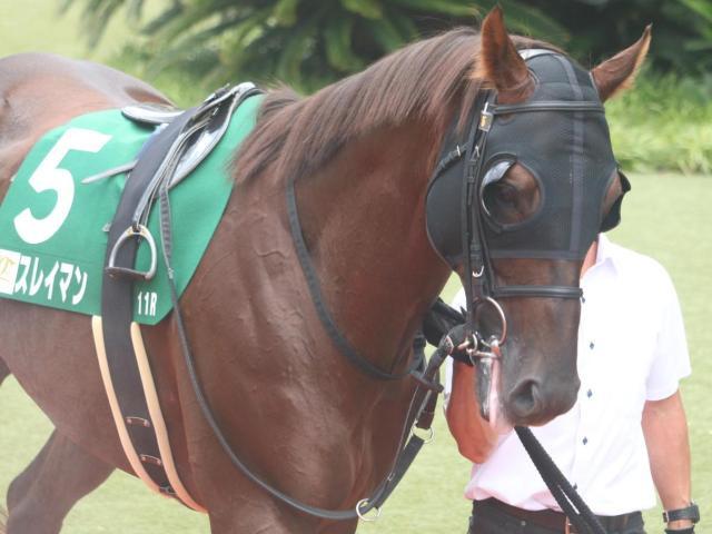 重賞初制覇を目指すスレイマン(今年7月撮影、ユーザー提供：harunyannさん)