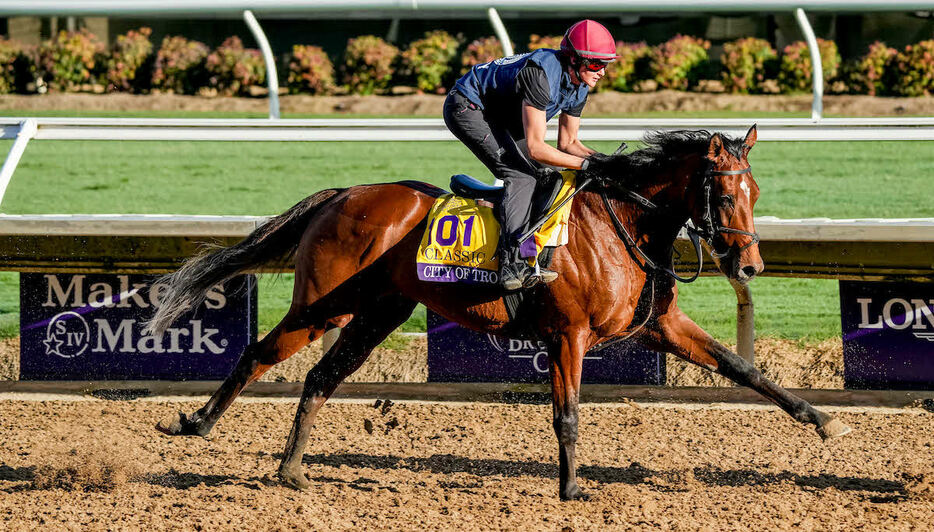 BCクラシック出走のシティオブトロイ（（C）Scott Serio／Eclipse Sportswire／Breeders Cup）