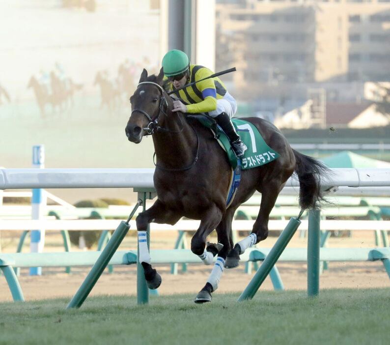 2019年の京成杯を勝ったラストドラフト（撮影・塩浦孝明）