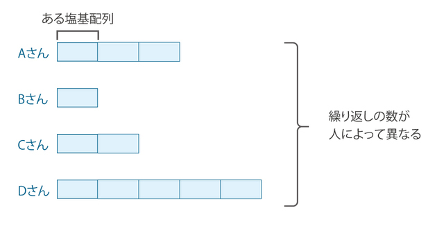 DNA指紋(VNTR多型)