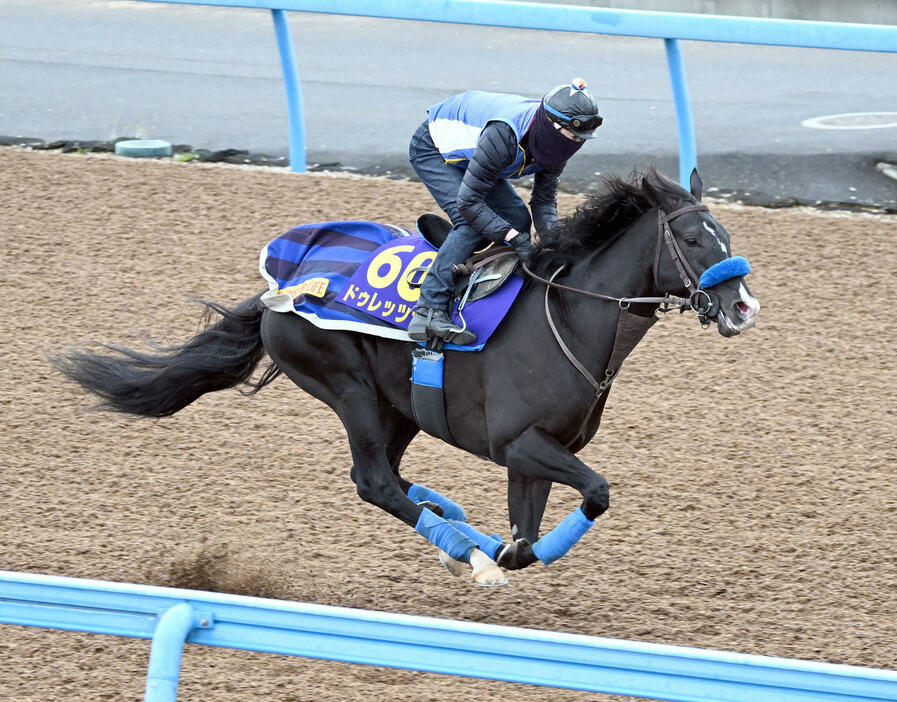 美浦ウッドで追い切るドゥレッツァ（撮影・千葉一成）