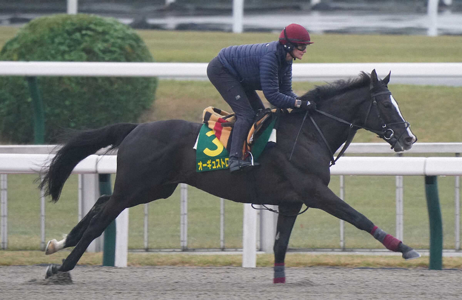 ダートコースで調整するオーギュストロダン（撮影・村上大輔）