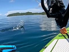 「あ…俺…沈没するわ」