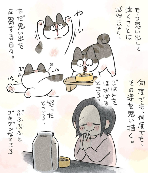 大切にしていた愛猫との思い出について描いた漫画のカット（In.S_そーいさん提供）