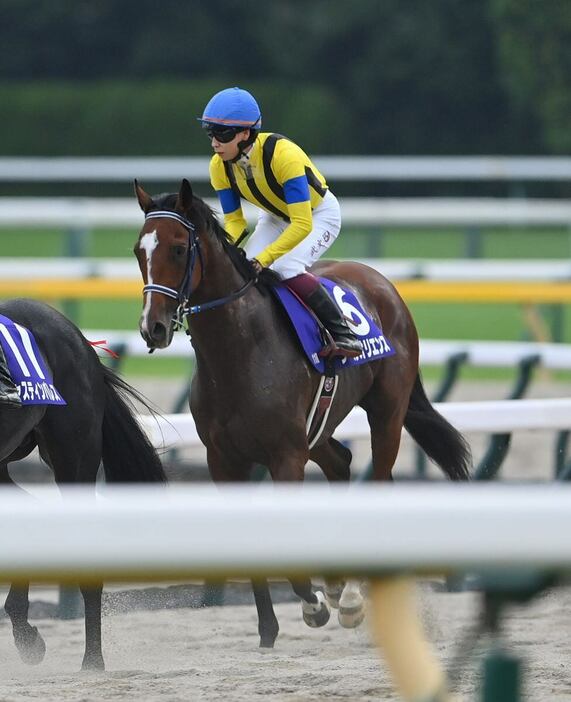 天皇賞・秋は7着に敗れたソールオリエンス＝10月27日、東京競馬場（撮影・奈良武）