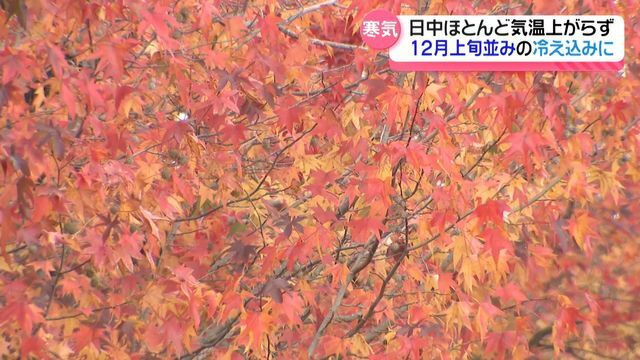 テレビ金沢NEWS