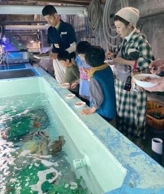 お魚エサやり体験（碧南海浜水族館提供）