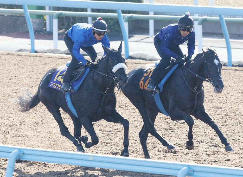 ウッドチップコースでガルダイアと併せて追われるフィアスプライド（左）