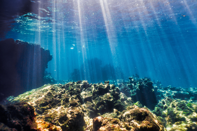 海岸に近い、光の射す浅い海が生命誕生の場と思われていたが…… photo by gettyimages