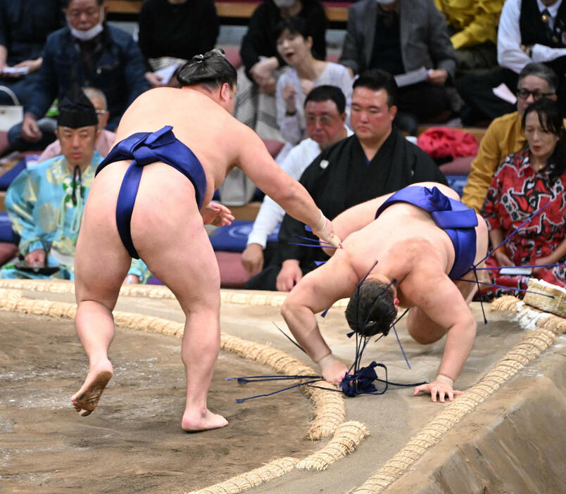 安青錦（右）を突き落としで破る栃大海（撮影・和賀正仁）