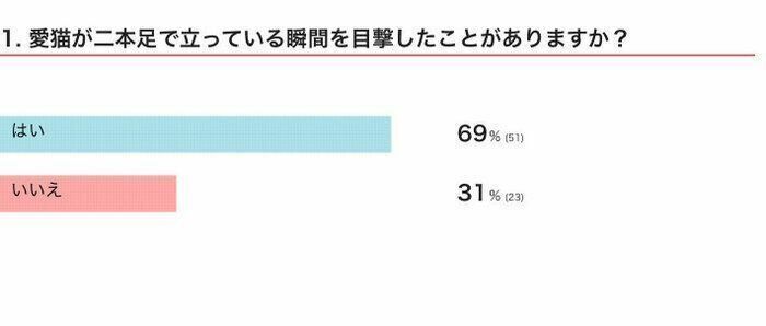 ※2024年8月実施「ねこのきもちアプリ」内アンケート調査（回答者数 74人）