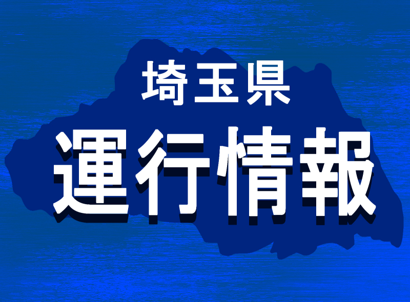 川越線、八高線が遅延