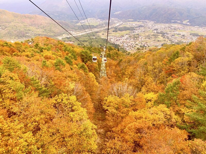 白馬八方尾根スキー場も今は雪の白ではなく錦に染まる