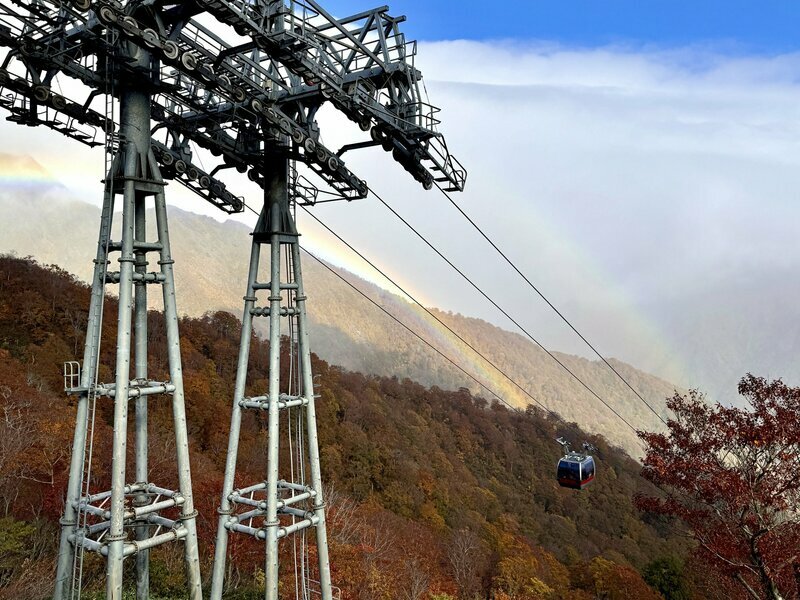 今週撮影、天神峠からロープウェイ架線付近へと見頃を移す