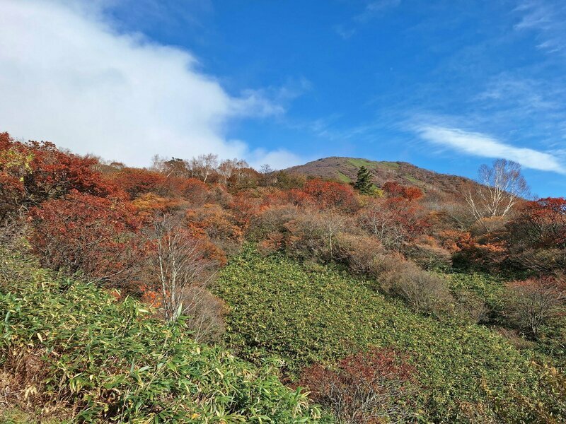 今週撮影、茶臼岳も晩秋の装いへと