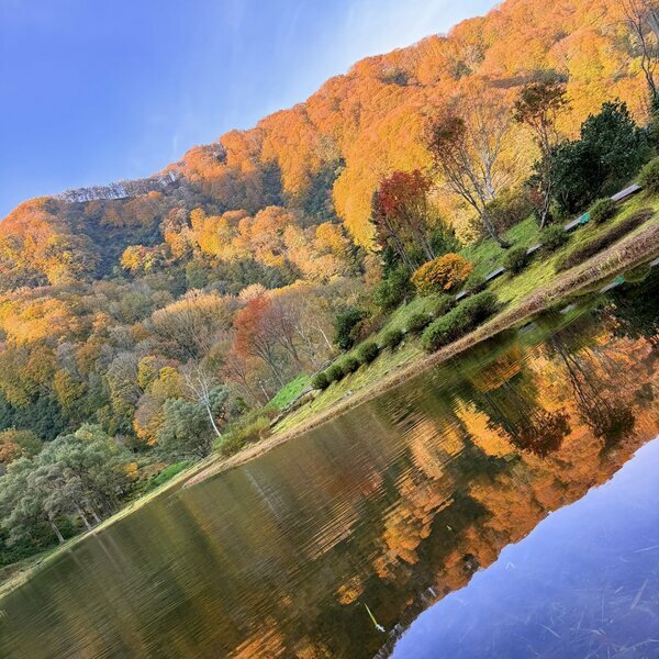 天候の良い日には逆さ紅葉が美しい